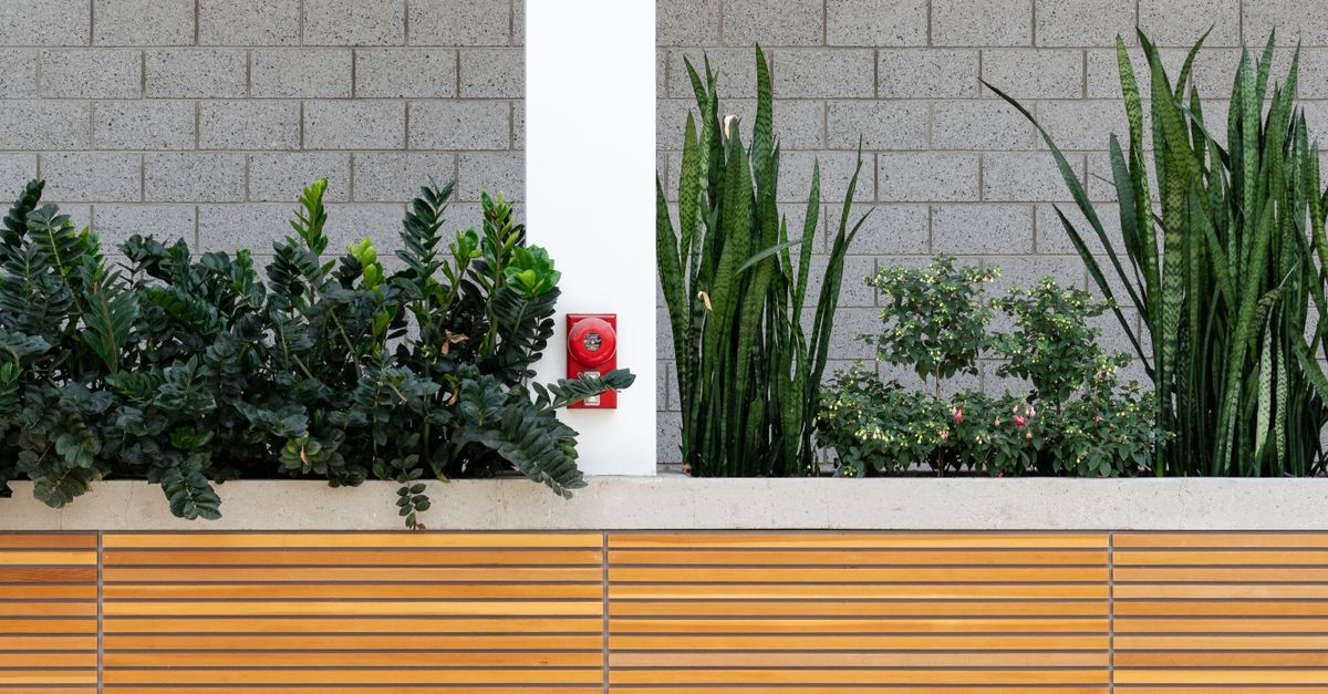 Jardin paysager avec massifs et pelouse