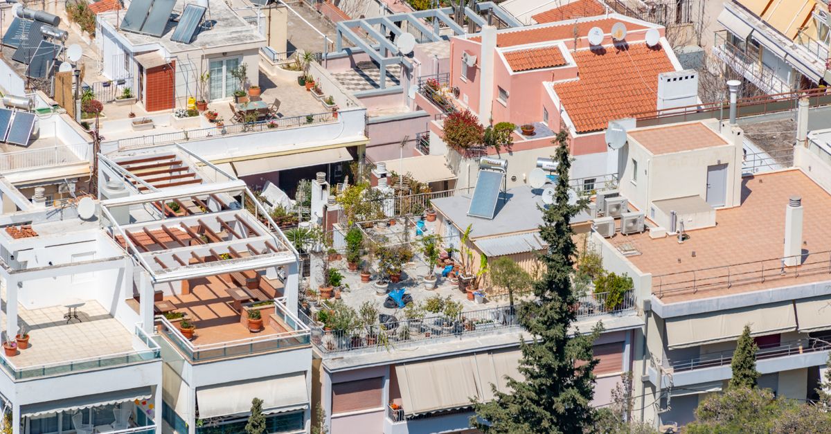 Terrasse en bois entourée de végétation